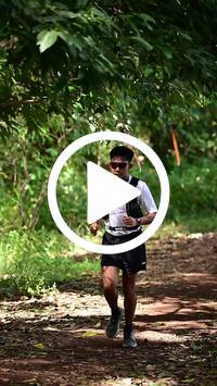 BIB:  <button type="button" onclick="openModal(27286783)" class="btn btn-primary btn-sm float-right" data-toggle="modal" data-target=".modal-high-quality">
                <i class="fa fa-download"></i> Download
                </button>